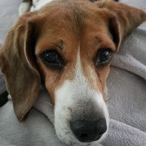 Meet your Posher, Stacy